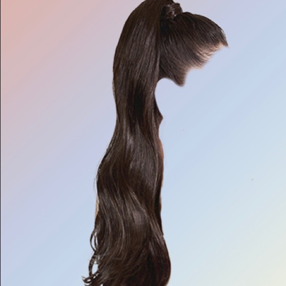 Hair Extension Pony Tail Clip